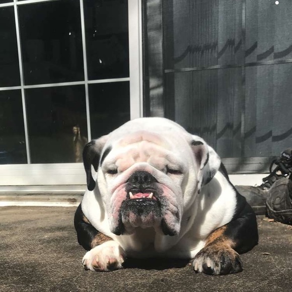 Meet your Posher, Jordynn - Picture 14 of 15